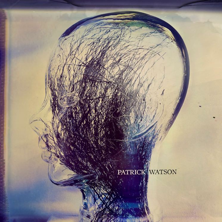 Patrick Watson - Wave  (Vinyl LP)