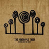 Pineapple Thief - Nothing But the Truth (Vinyl 2LP)