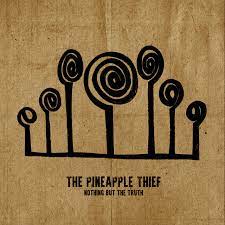 Pineapple Thief - Nothing But the Truth (Vinyl 2LP)