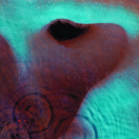 Pink Floyd - Meddle (Vinyl LP)