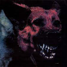 Protomartyr - Under Color of Official Right (Vinyl LP)