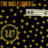 Wallflowers - Bringing Down The Horse (Vinyl LP)