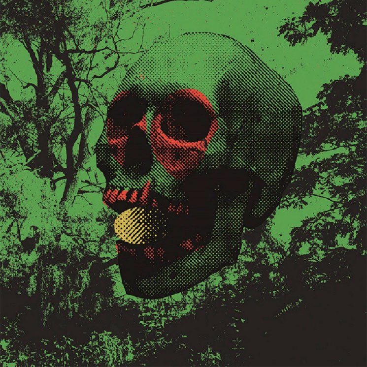 John Dwyer etc. - Witch Egg (Vinyl LP)