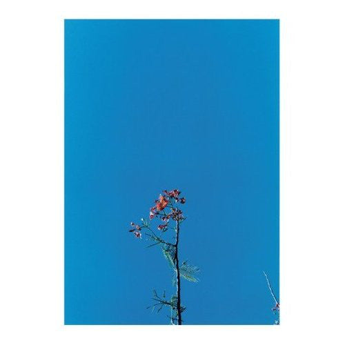 Joanna Newsom - Joanna Newsom & the Ys Band EP (Vinyl EP)